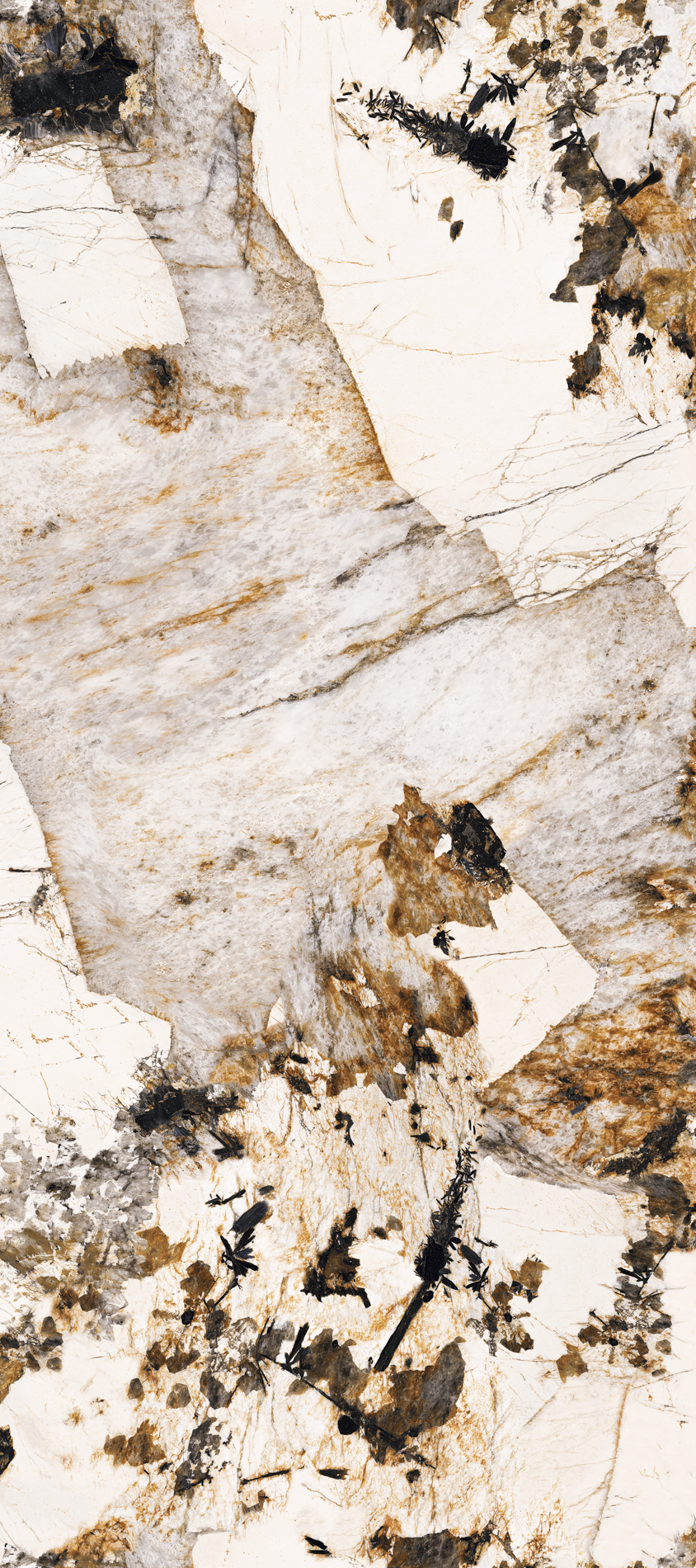 ALL_catalog_26C30_A9mG906Ynl