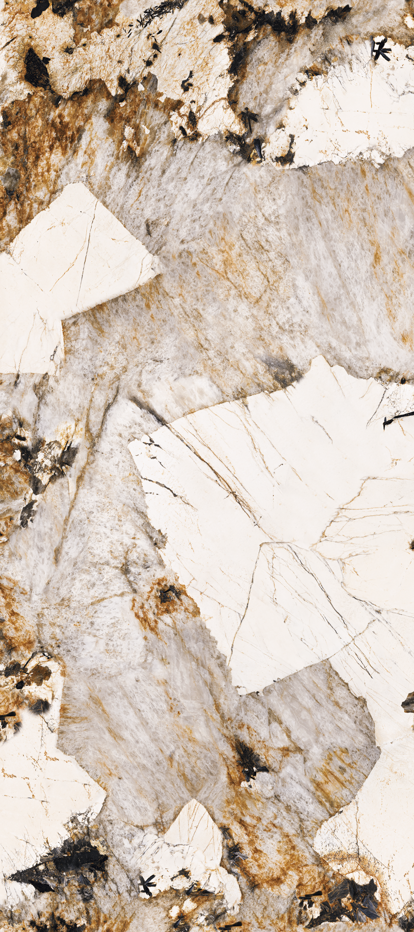 ALL_catalog_26C30_BLYTokMipl