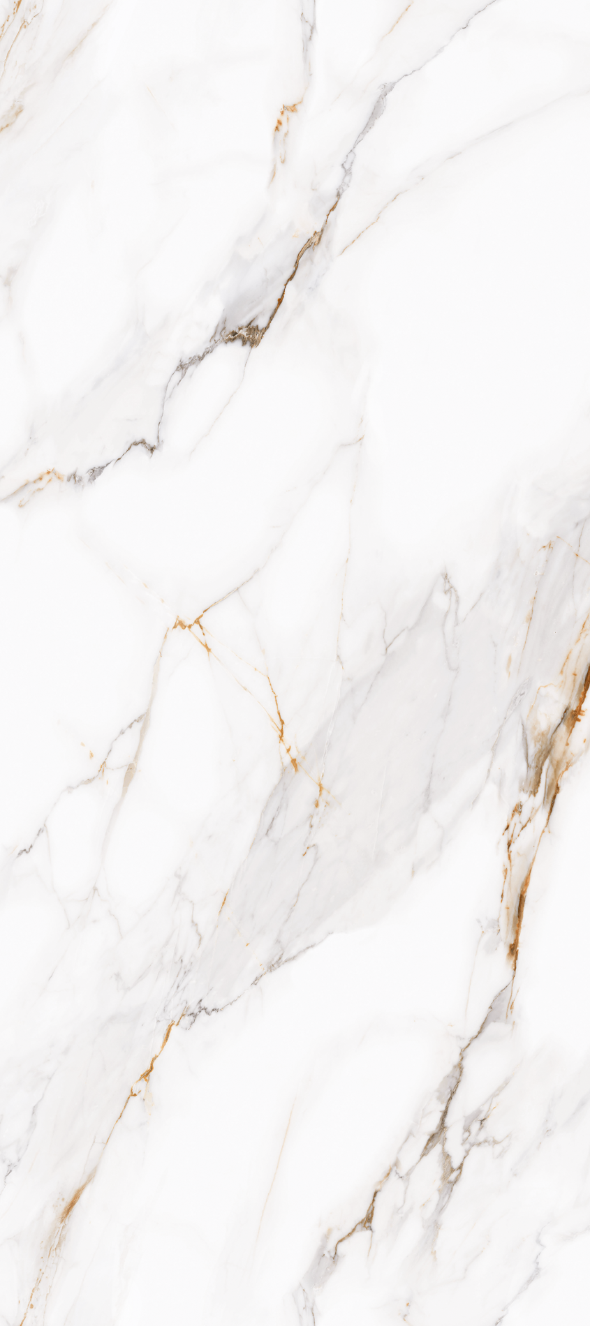 ALL_catalog_26C30_D0PTm16Vbn