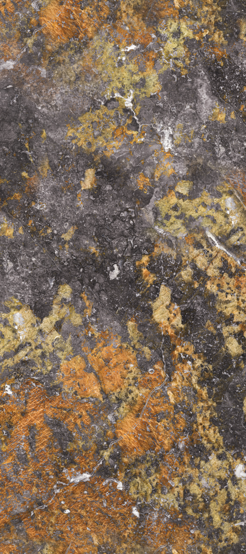 ALL_catalog_26C30_E4WIbMV5nu