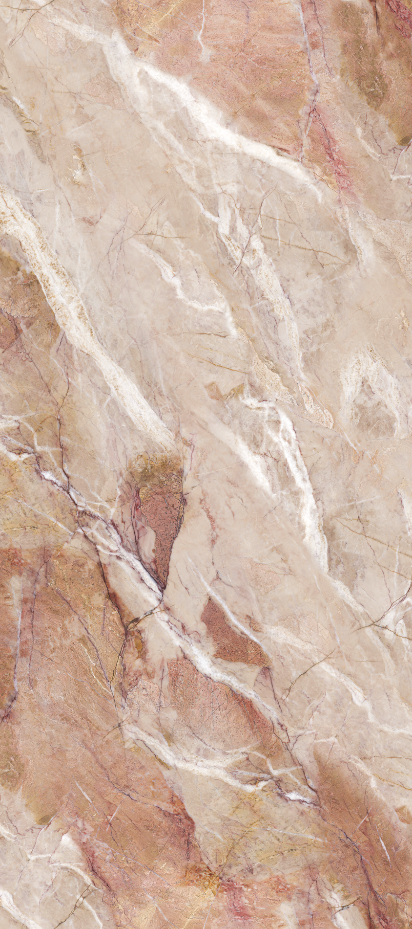 ALL_catalog_26C30_SrpRJIVSiA