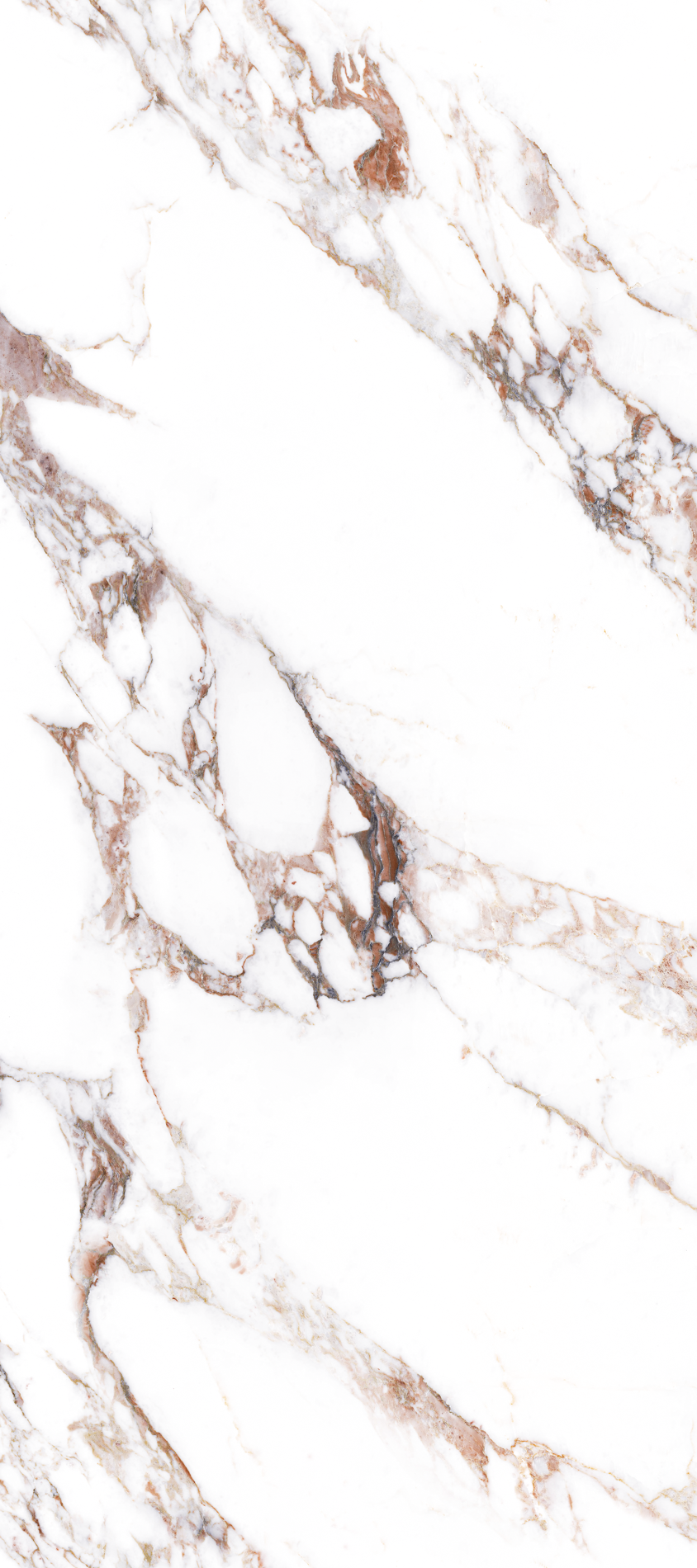 ALL_catalog_26C30_VQPdDwn1xl