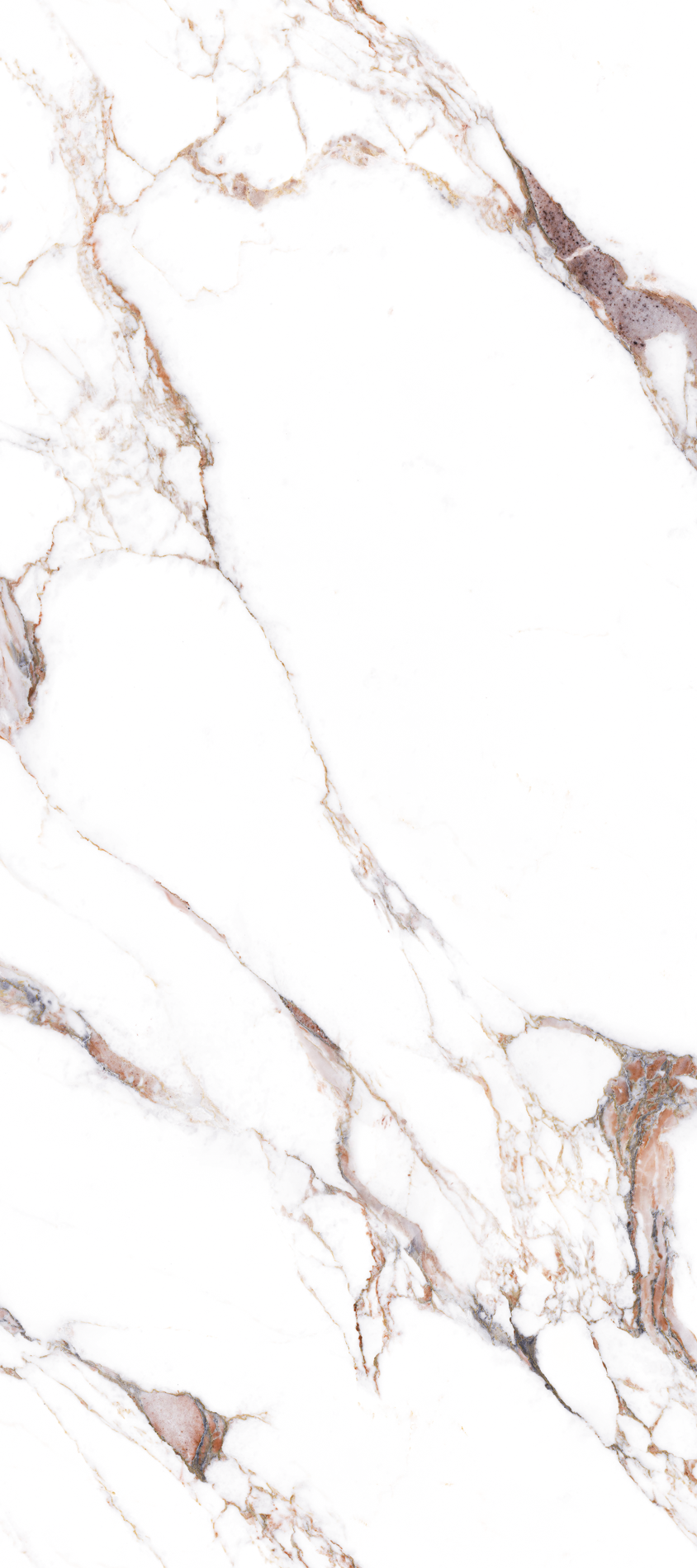 ALL_catalog_26C30_Yy0D3IUFRT