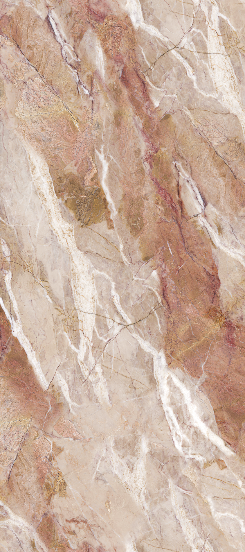 ALL_catalog_26C30_bjU4vNldO1