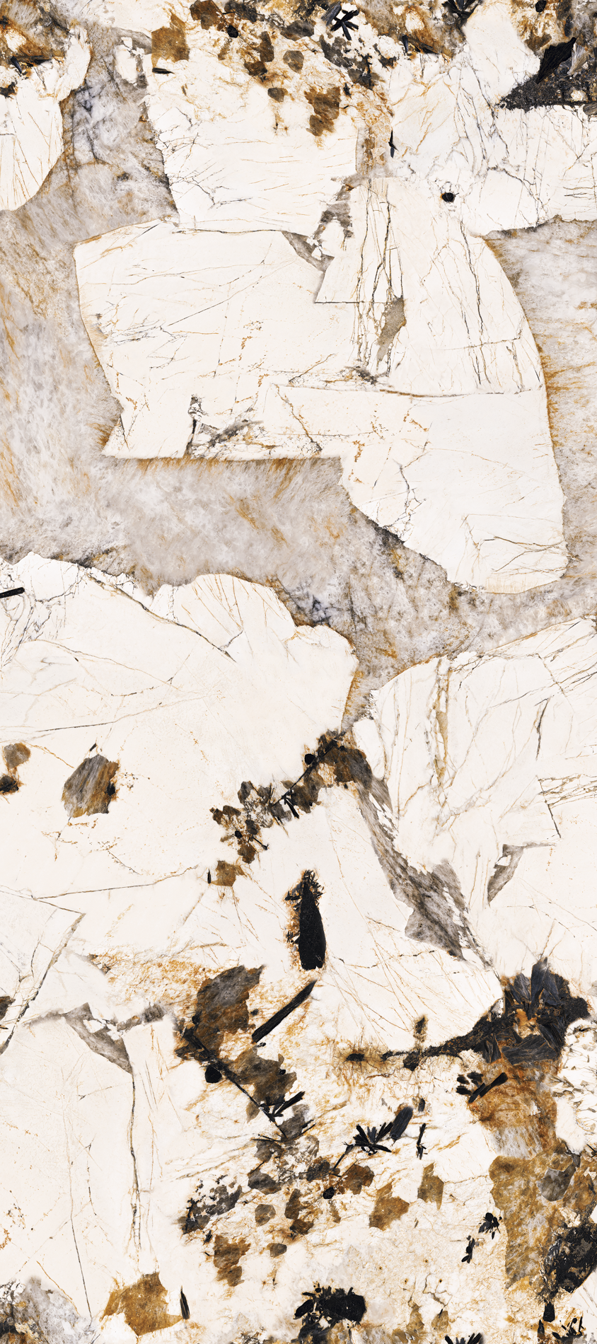 ALL_catalog_26C30_vDantexRcW