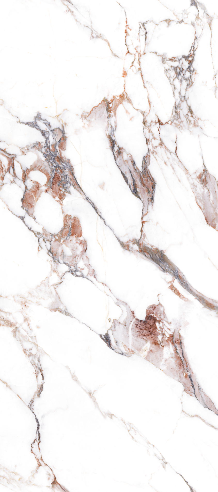 ALL_catalog_26C30_x018CSXoDD