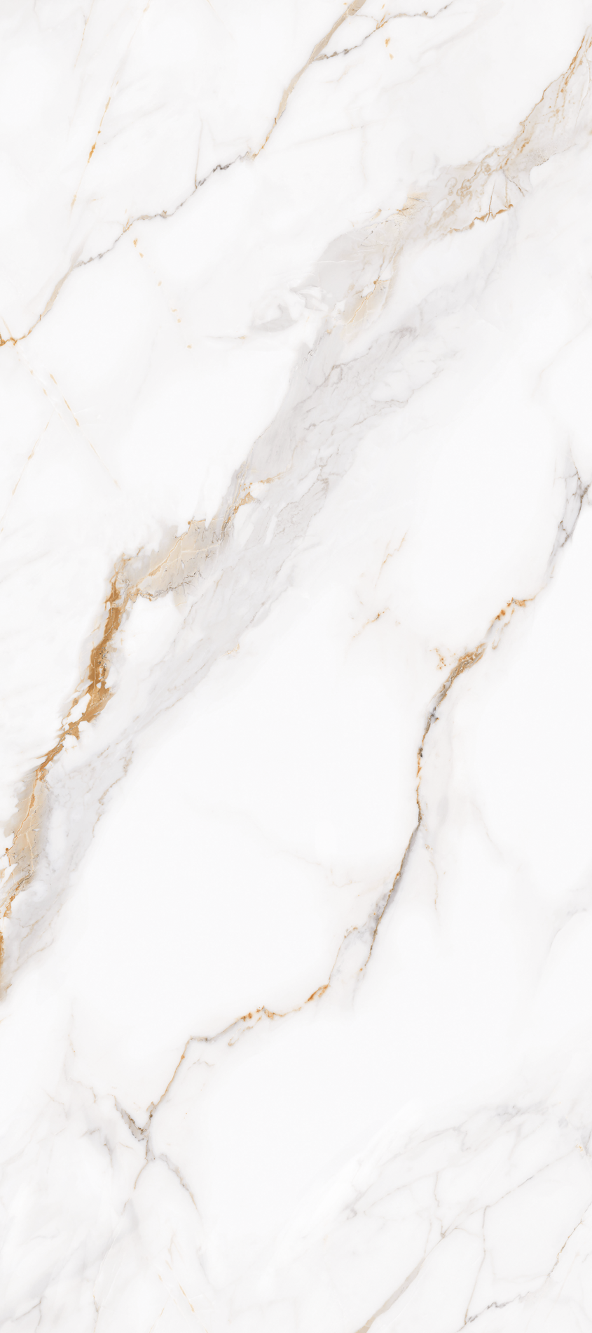 ALL_catalog_26C30_xn5OdbBA7b