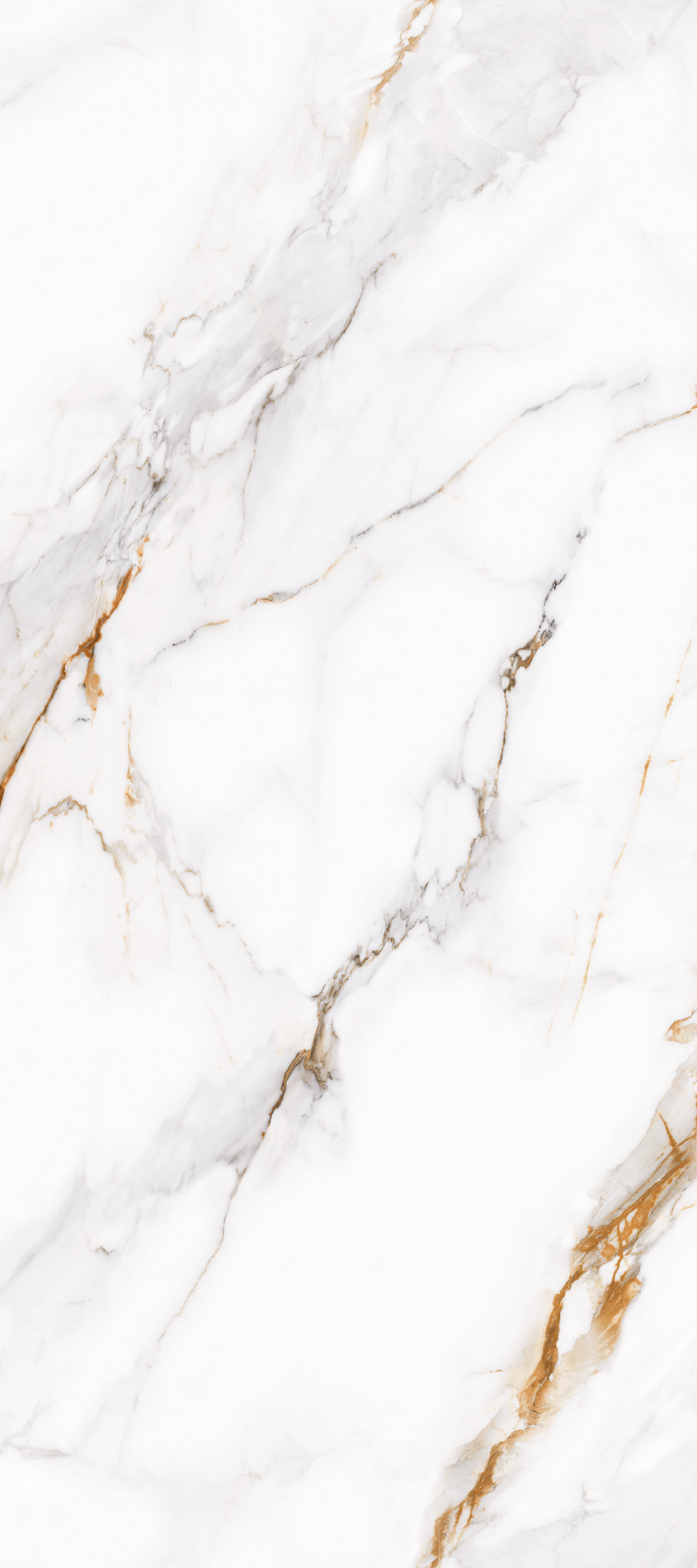 ALL_catalog_26C30_ytodcXcs4I