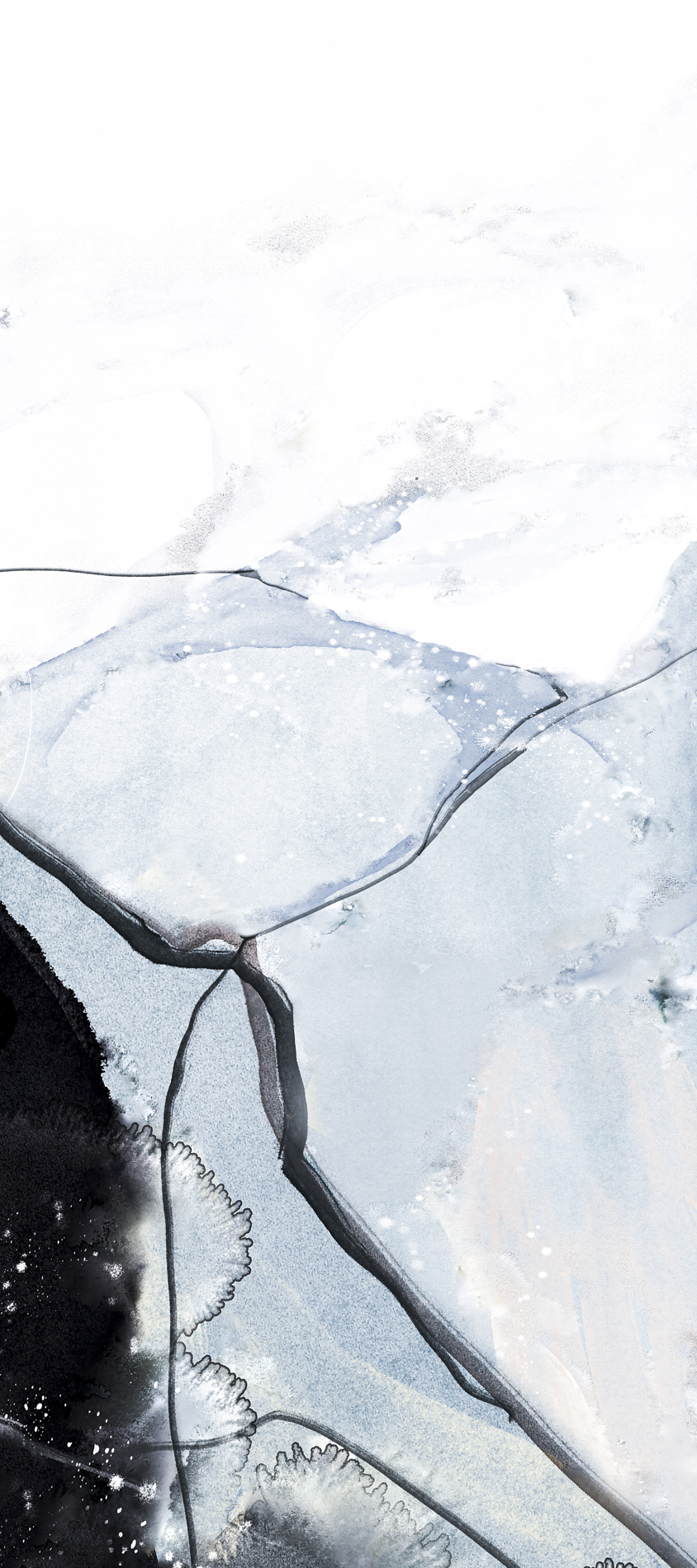 ALL_catalog_26C30_zKXrDxqVXL