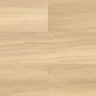 ALL_catalog_26D01_n2T0q24NQw