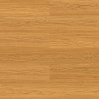 ALL_catalog_26D01_z8y03zMZQx