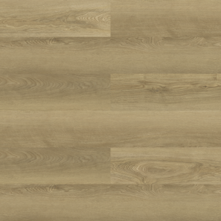 ALL_catalog_26D02_ApaNhFGiU8