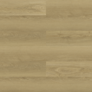 ALL_catalog_26D02_oXuyQbNCMY