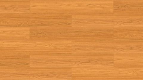 陽光加州系列 3 款