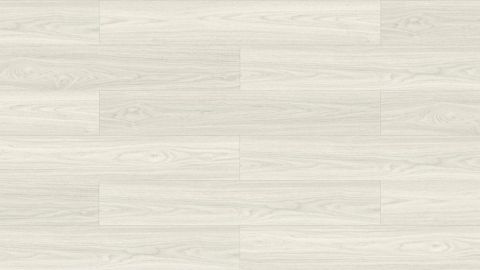 極地森林系列 3 款